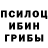 Галлюциногенные грибы Magic Shrooms Shawn Bolger
