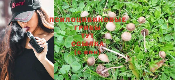 круглые Новозыбков