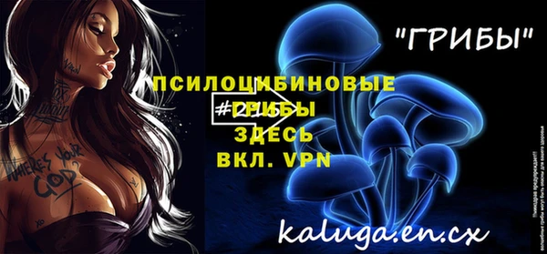 apvp Новодвинск