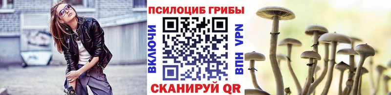 Галлюциногенные грибы прущие грибы  Ипатово 