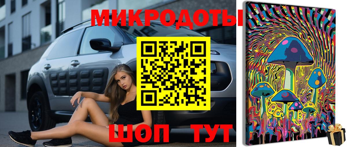 Псилоцибиновые грибы Cubensis Ипатово