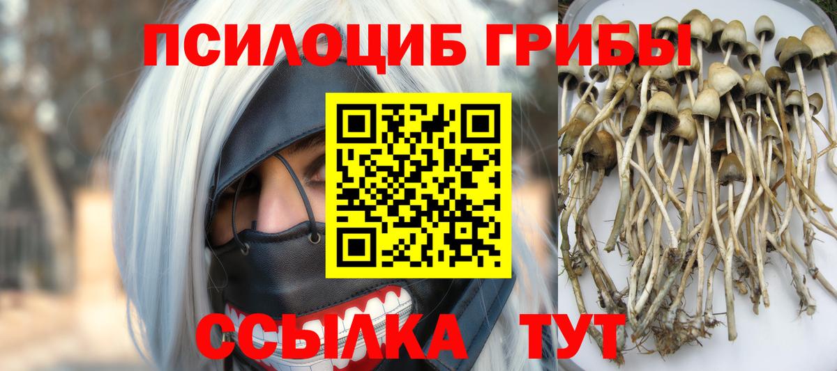 Галлюциногенные грибы Cubensis  Вход с VPN  купить закладку  Ипатово 
